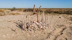 Die Strandbewohner haben seltsame Bestattungsriten