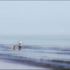 die Strandfischerin