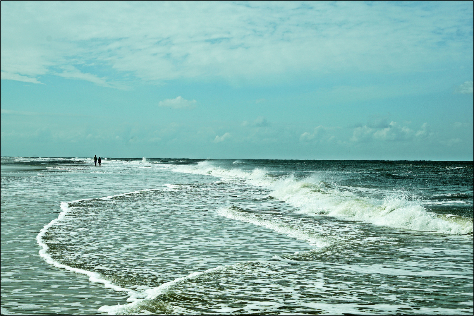 Die Strandläufe