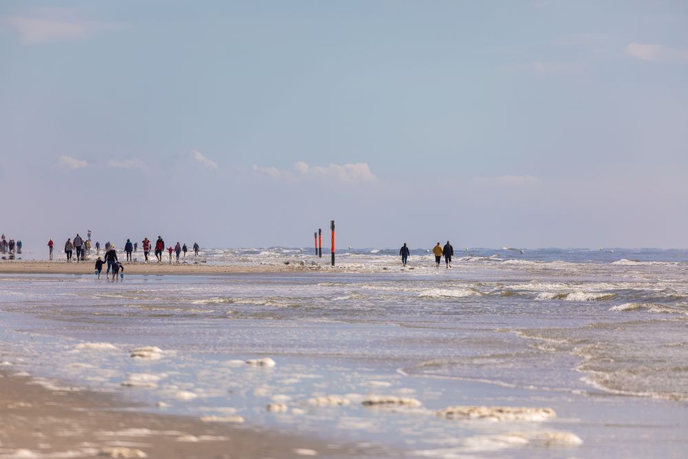 Die Strandläufer