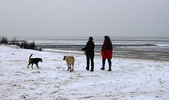 Die Strandläufer