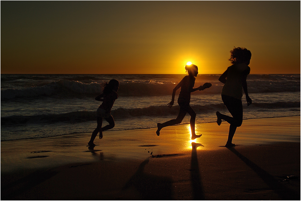 " die Strandläufer "