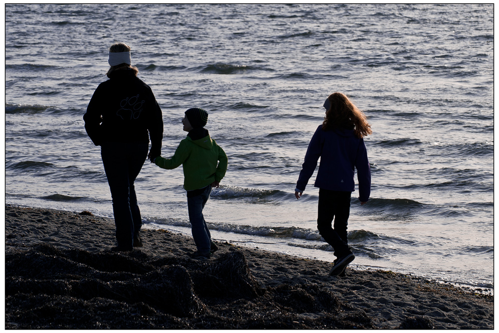 Die Strandläufer