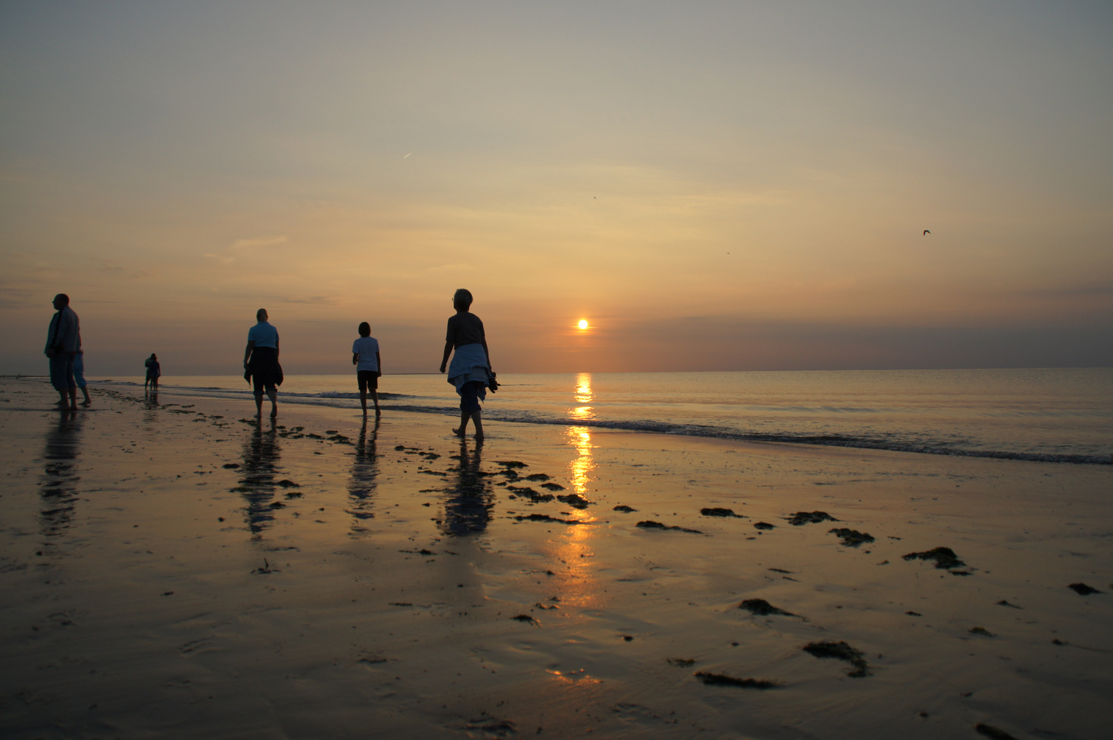 Die Strandläufer