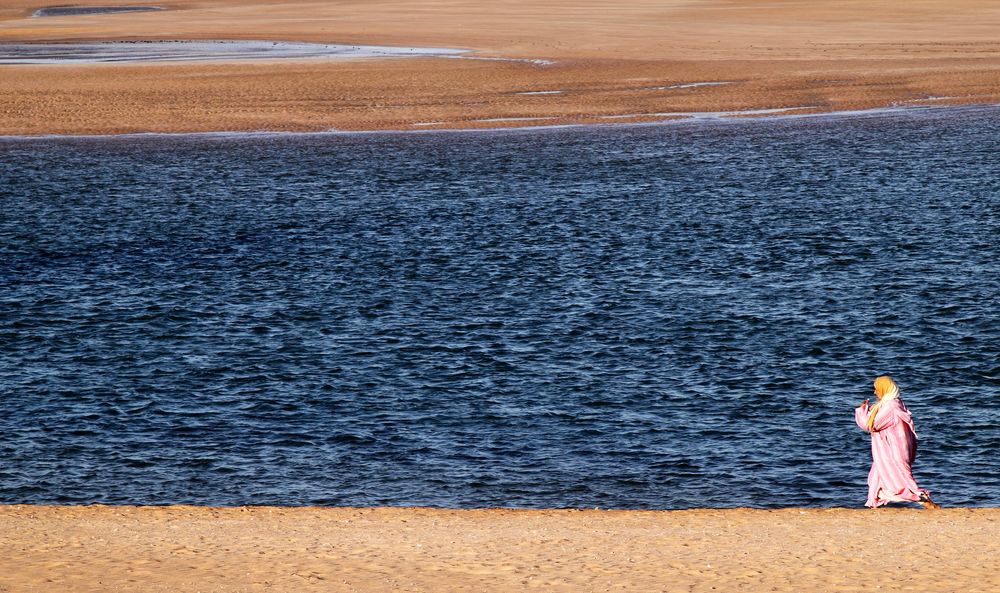 Die Strandläuferin