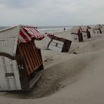 Die Strandläuferin unbearbeitet