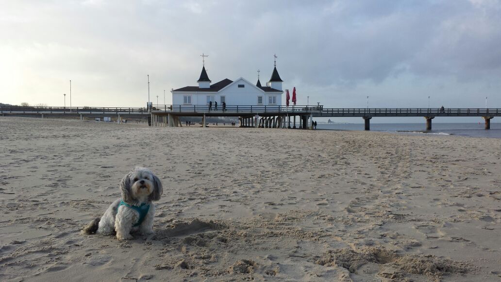 Die Strandschönheit von Usedom