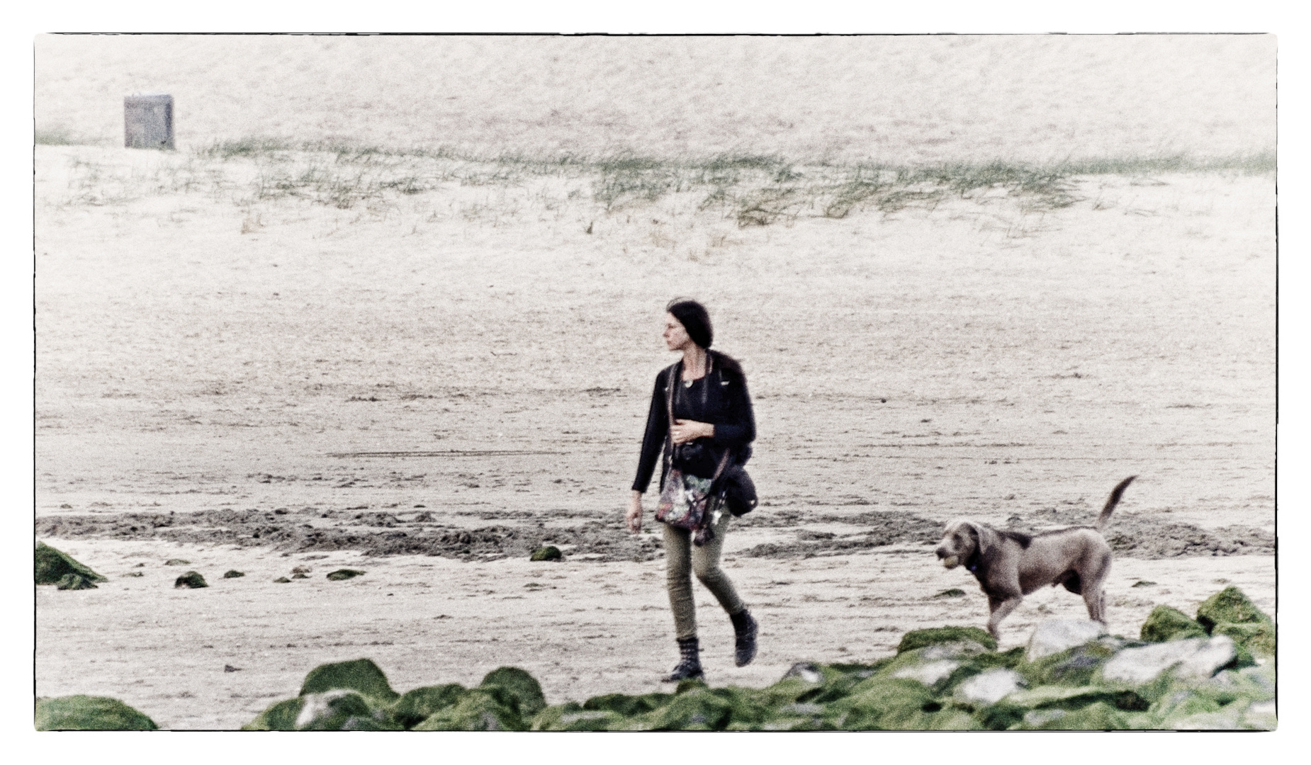 Die Strandwandrerin und ihr Hund - La randonneuse sur la plage et son chien