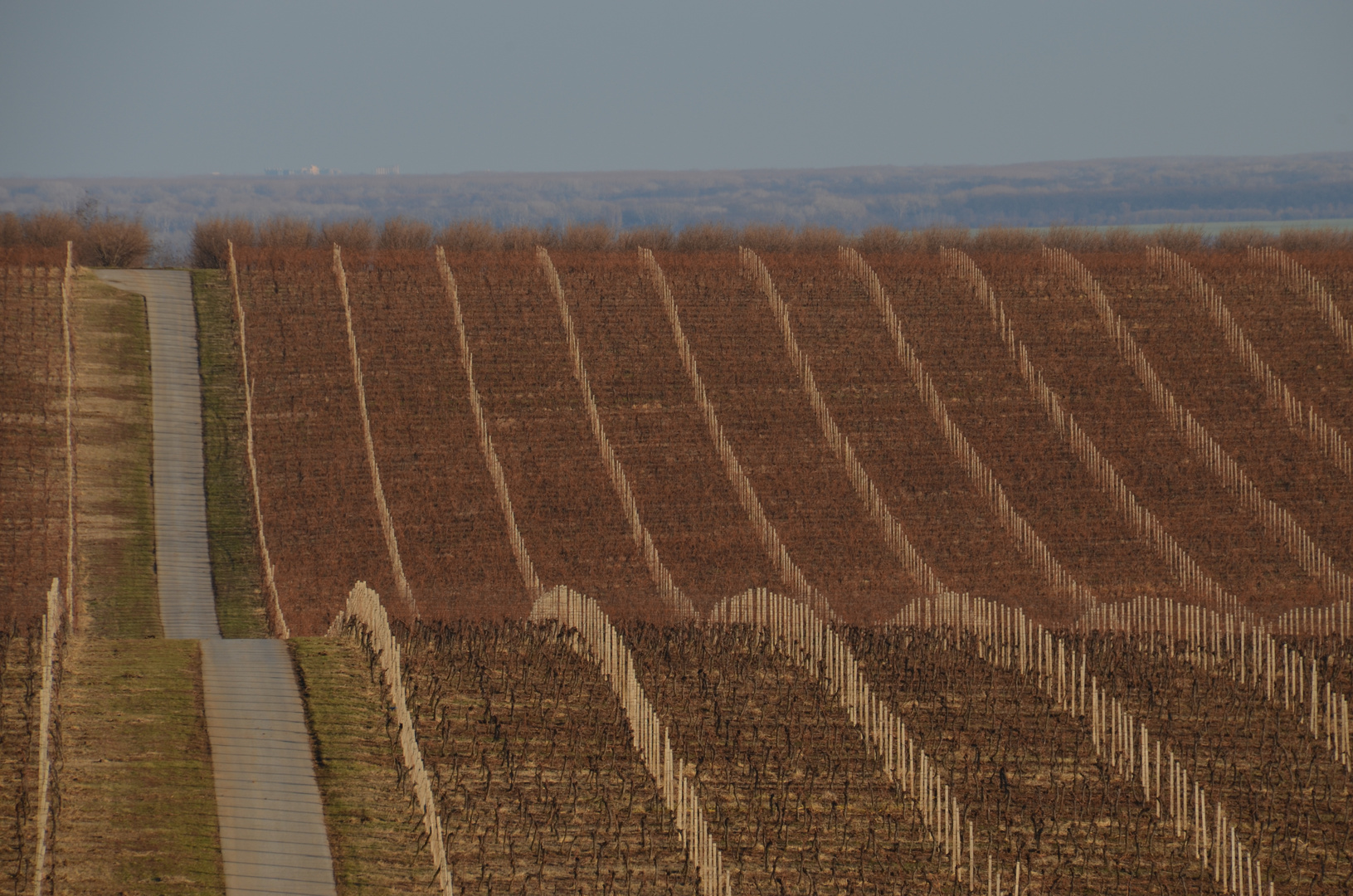 Die Strasse am Weinberg