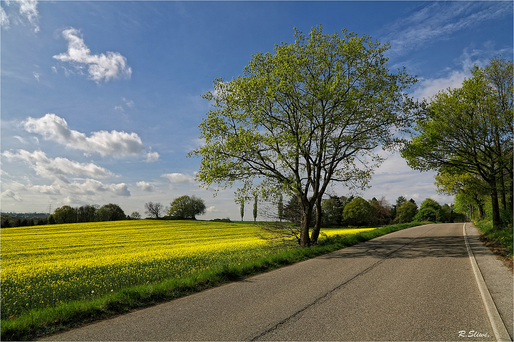 Die Straße