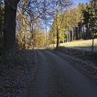 Die Straße durch den Wald