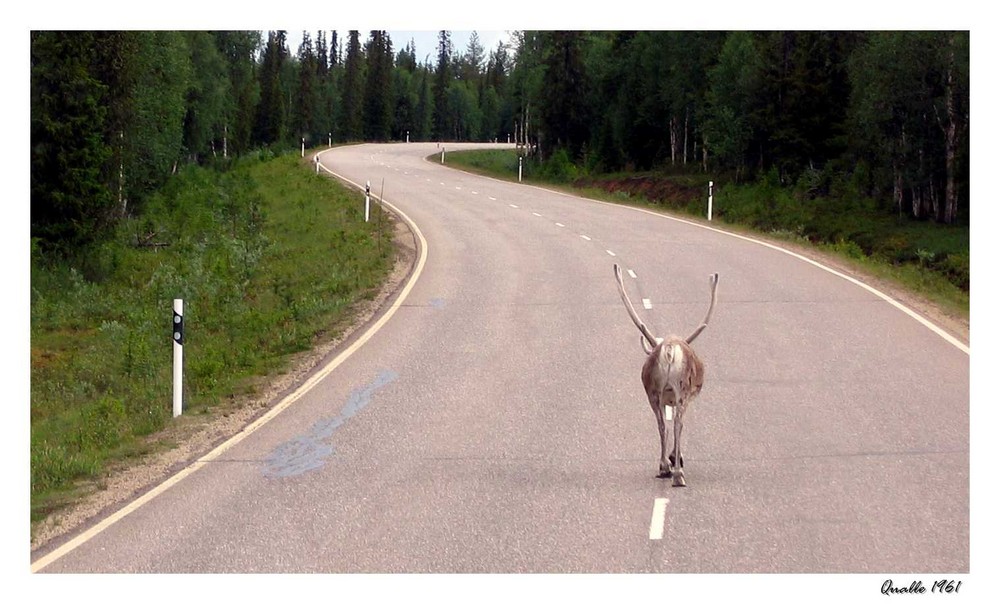 Die Strasse gehört mir