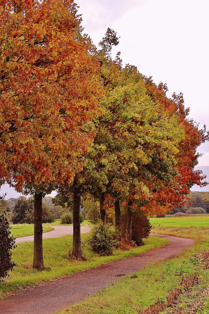 Die Straße gleitet fort und fort...