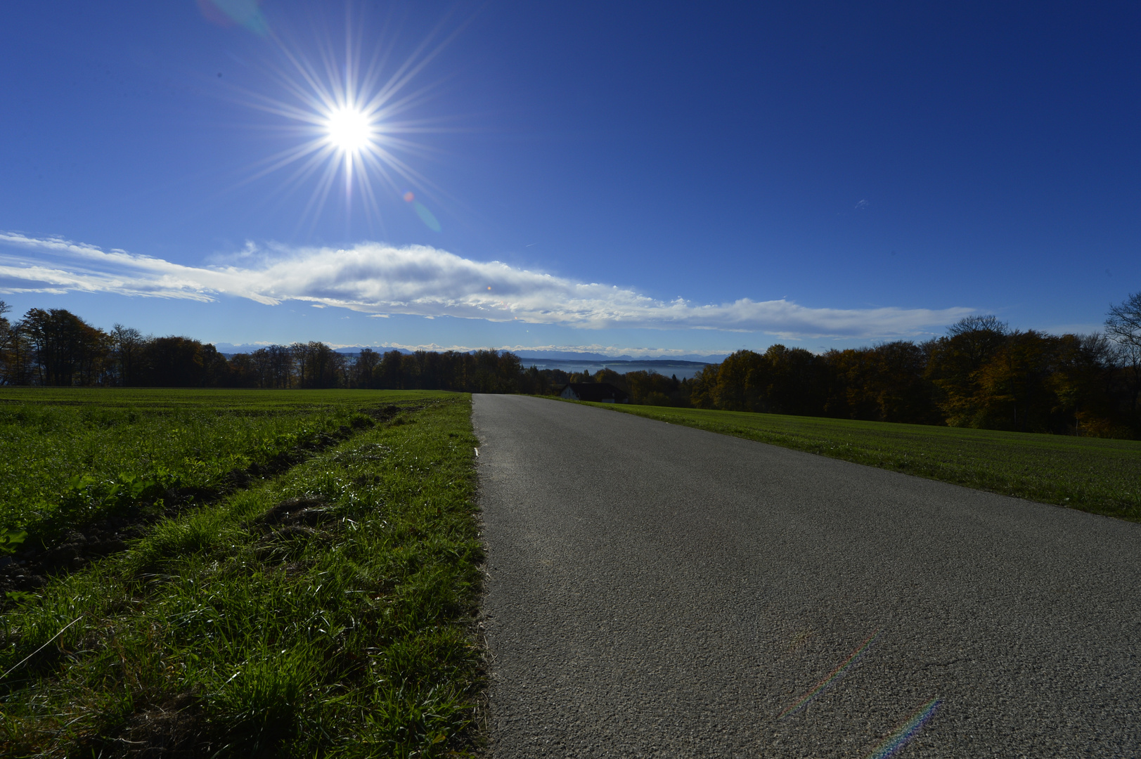 die Straße im Herbst