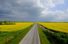 Die Straße im Rapsfeld