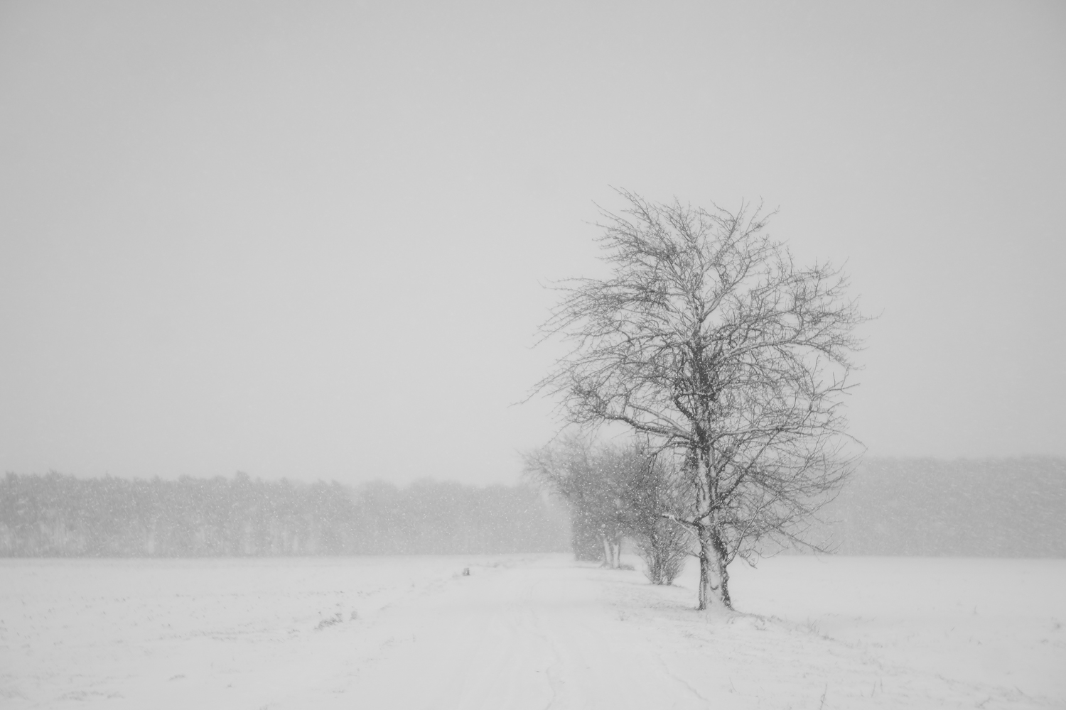 die Straße im Schnee