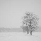 die Straße im Schnee