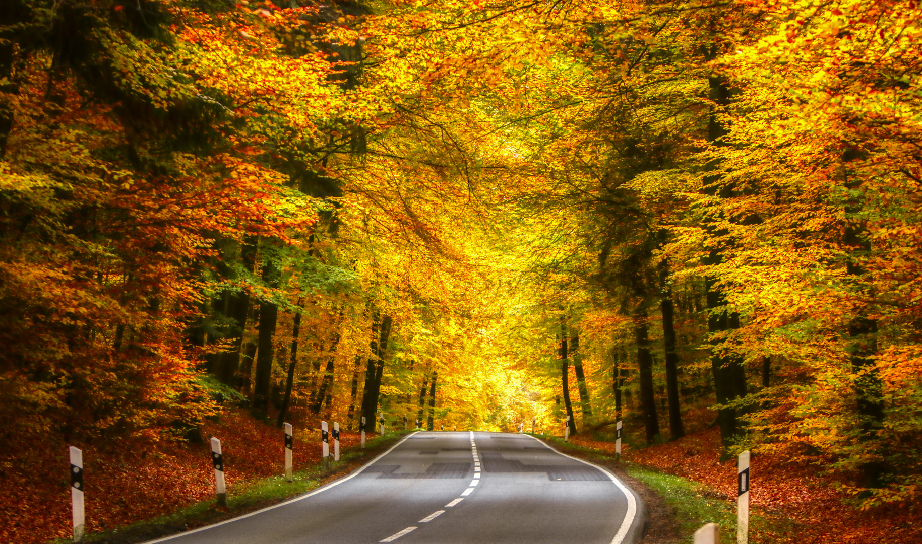 Die Straße in den Herbst...