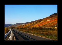 Die Strasse in den Wein