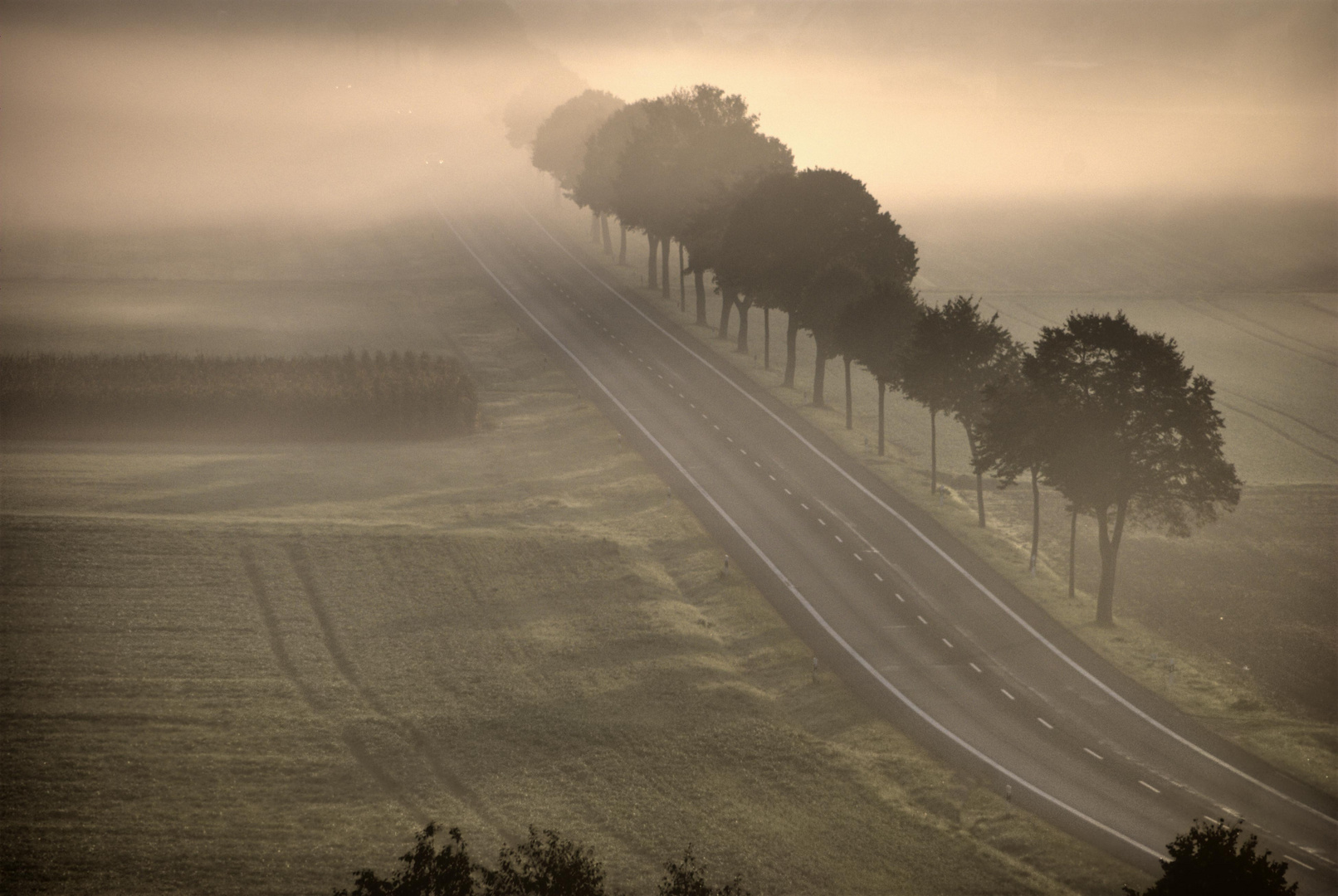 Die Strasse ins Morgenland