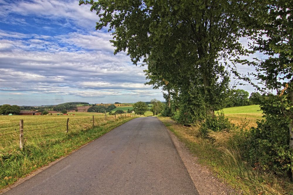 Die Straße nach Magdheide 