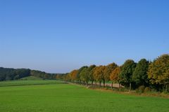 Die Strasse zum Herbst ...