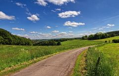 Die Straße zum Pferdehof