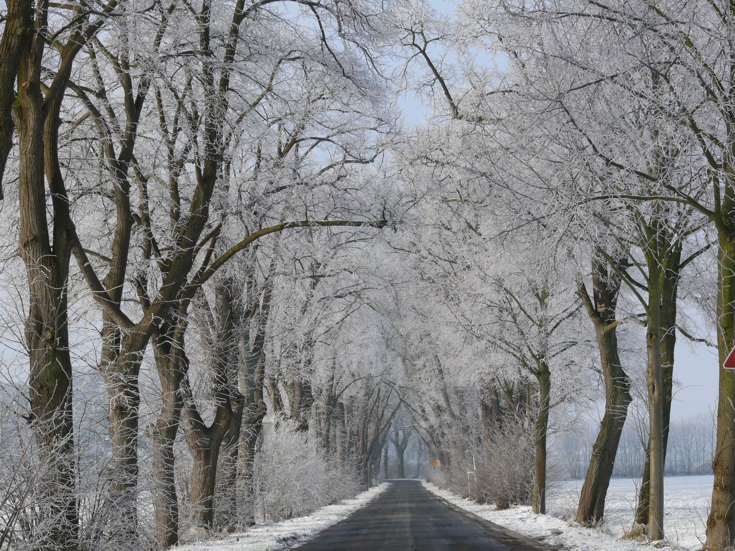 Die Straße zum Schloß Ulenburg in Löhne