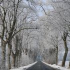 Die Straße zum Schloß Ulenburg in Löhne