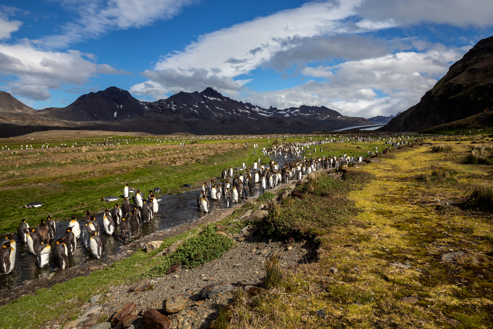 Die Straßen der Pinguine...