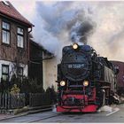 Die "Straßenbahn" fährt bei jedem Wetter