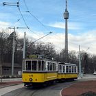 die Straßenbahn lebt...