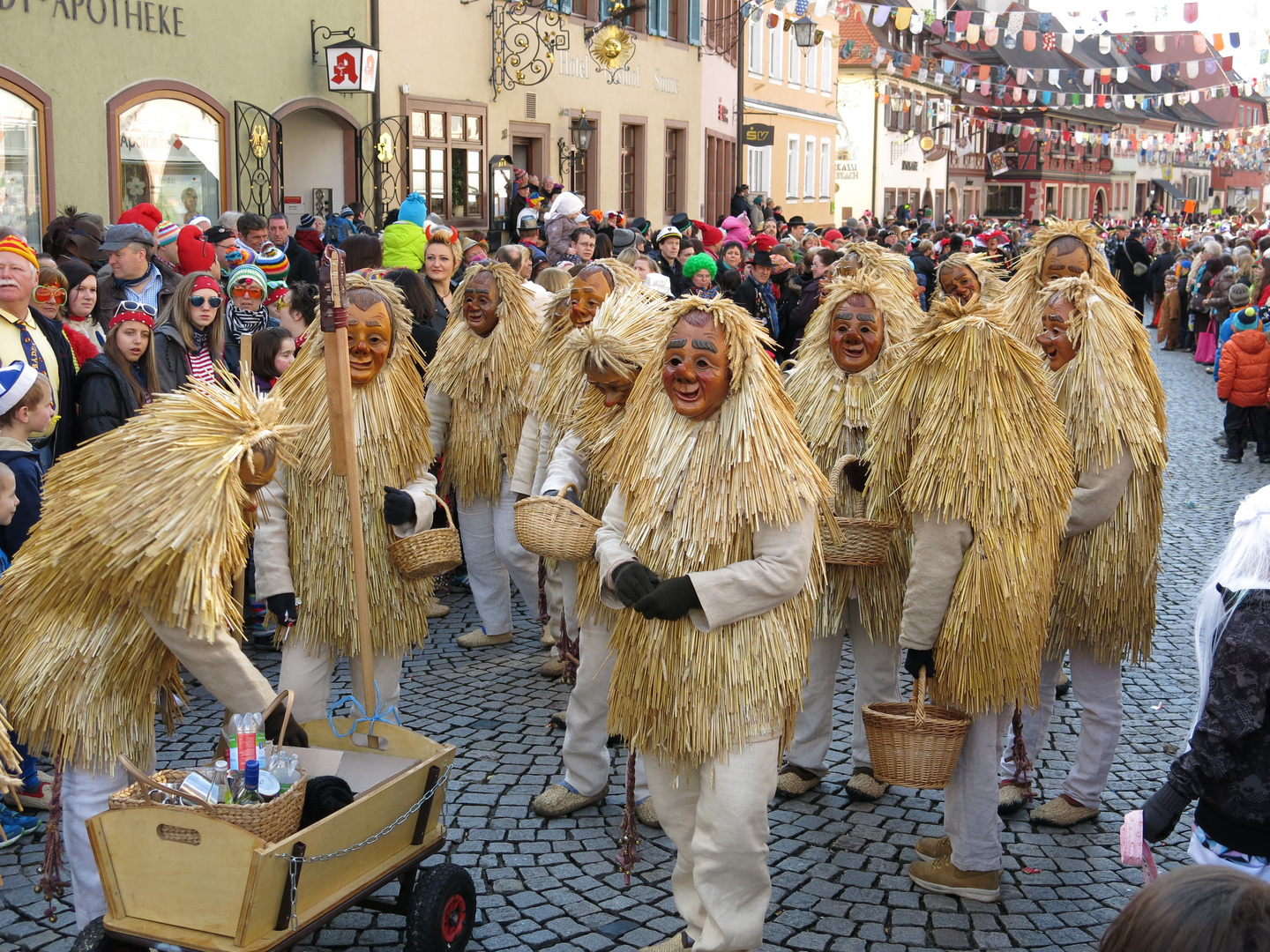 Die Strohhanseln aus Strohbach/Gengenbach