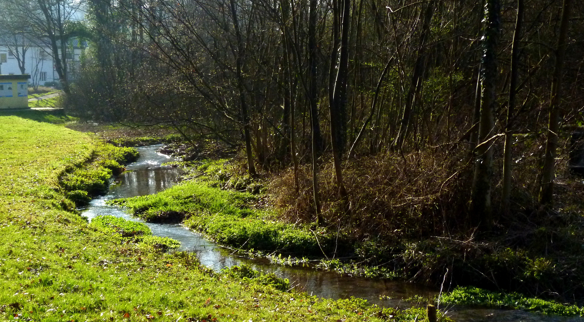 die Strunde