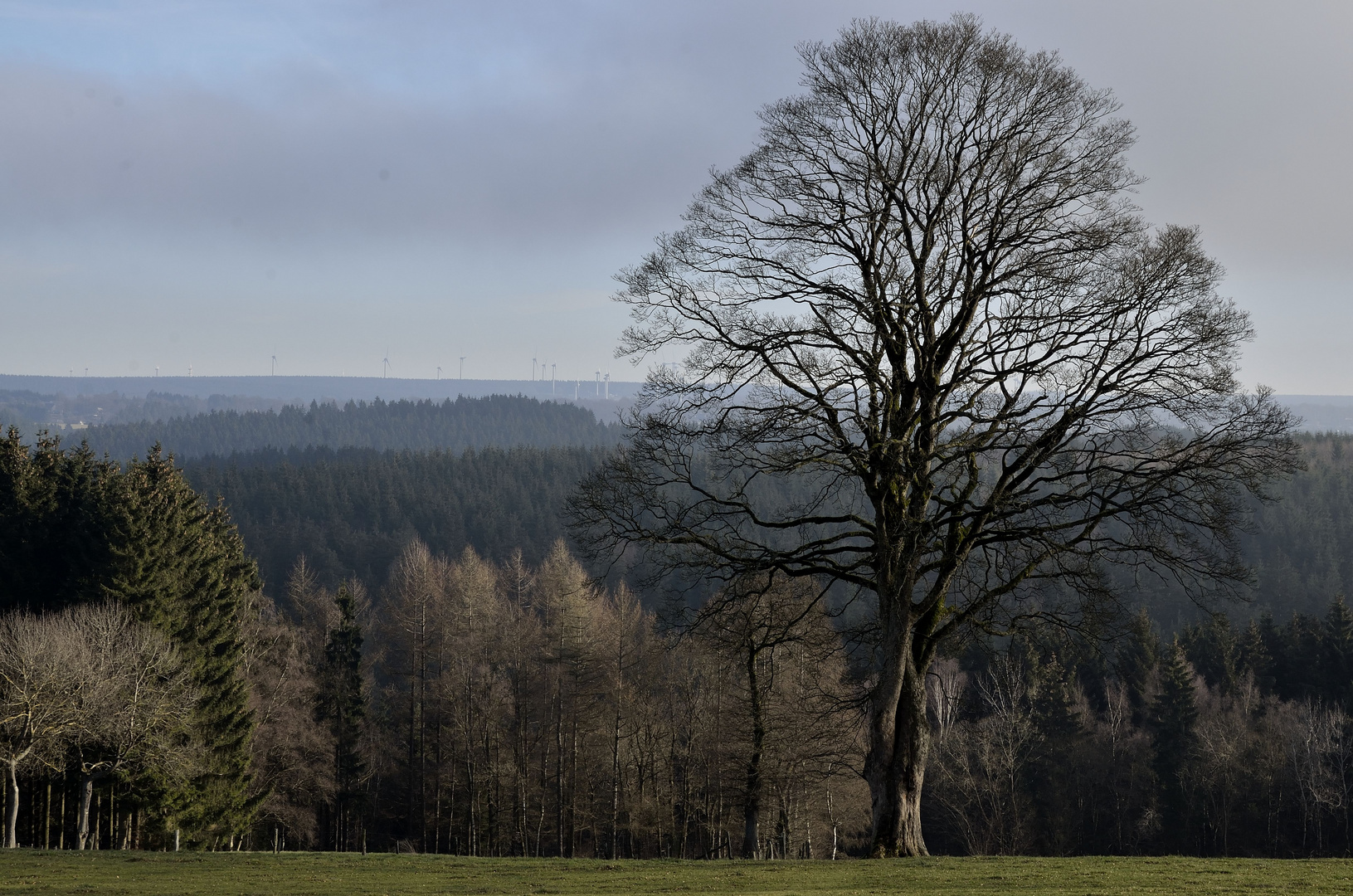 Die Stürme der Nordeifel.....