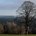 Die Stürme der Nordeifel.....