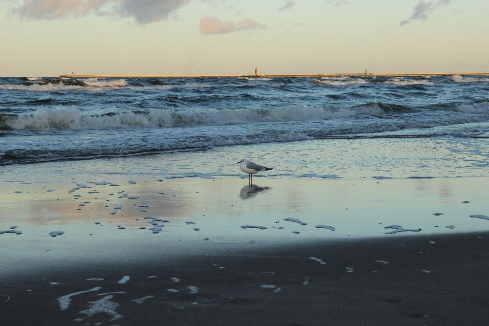 Die stürmische Ostsee