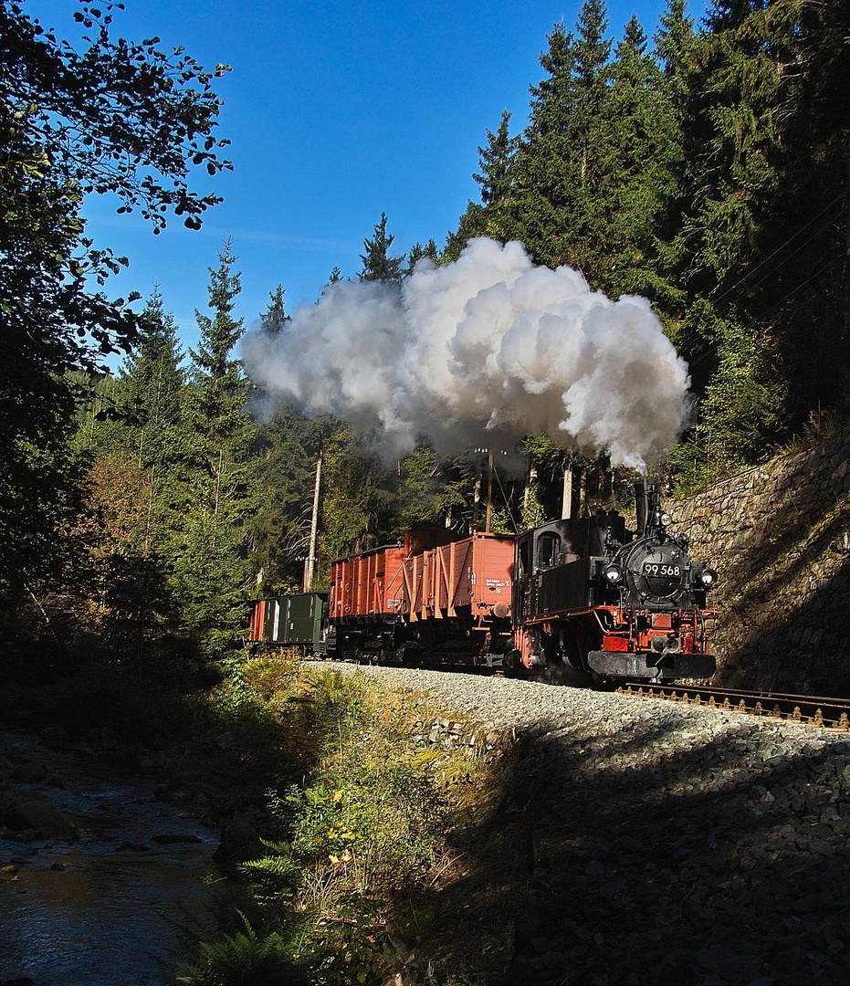 Die Stützmauer an der Preßnitztalbahn ...