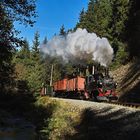 Die Stützmauer an der Preßnitztalbahn ...