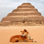 Die Stufenpyramide von Sakkara - Ägypten 6