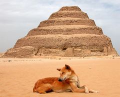 Die Stufenpyramide von Sakkara - Ägypten 6