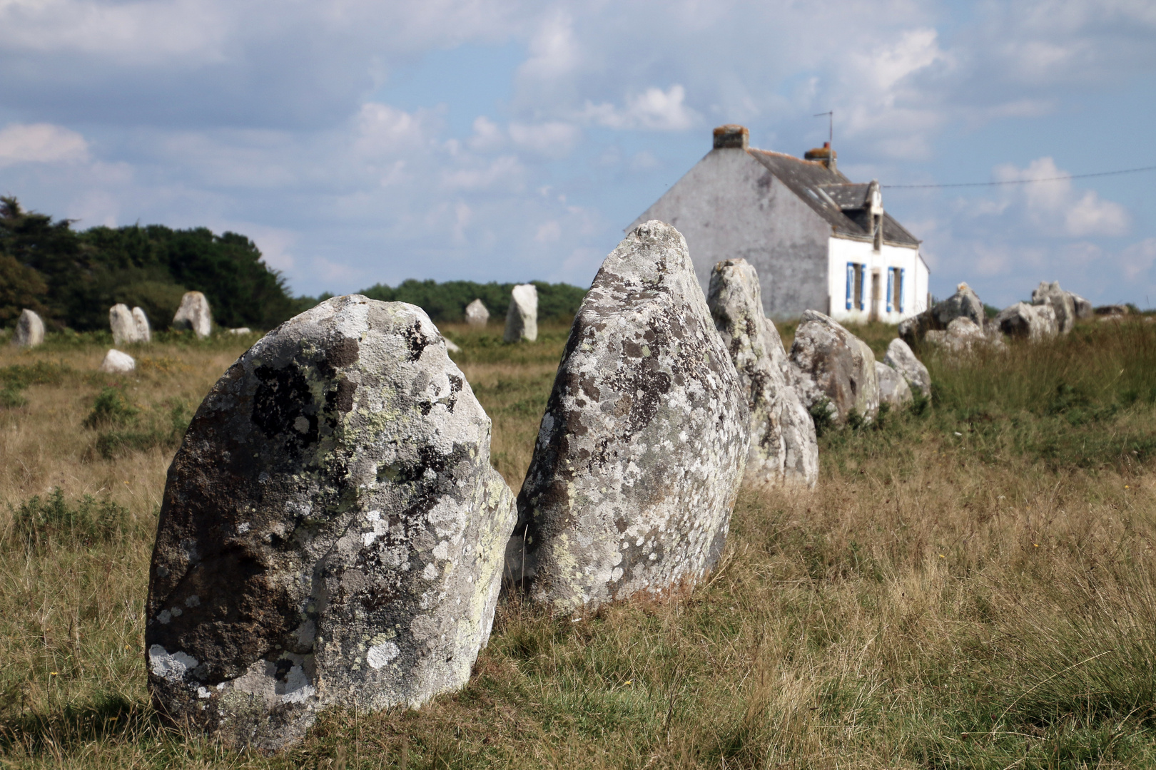 Die stummen Wächter von Carnac