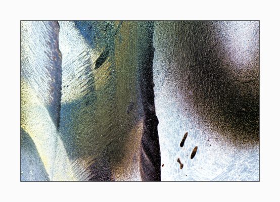 Die subtile Schönheit im Hässlichen