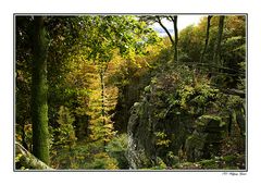 Die Südeifel im Herbst4