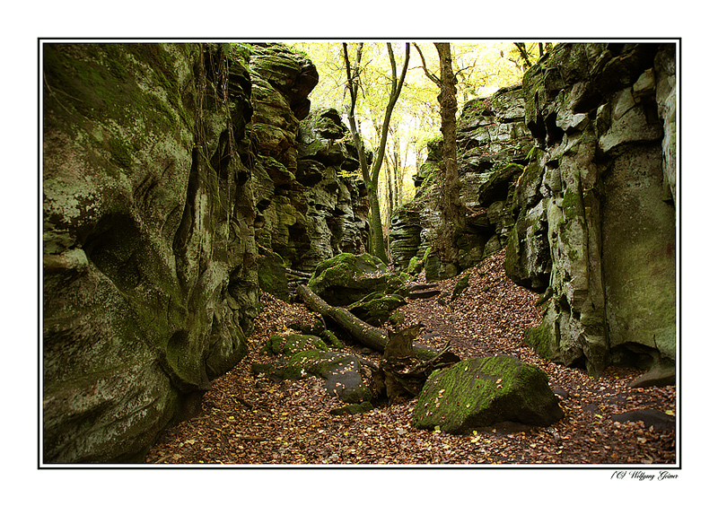 Die Südeifel im Herbst5