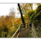 Die Südeifel im Herbst6