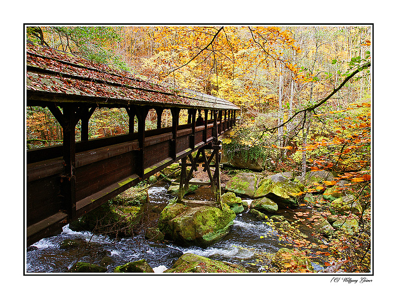 Die Südeifel im Herbst7