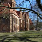 Die Südfront von St. Katharinen in Salzwedel 