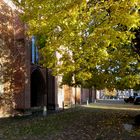 Die Südfront von St. Marien in Salzwedel 