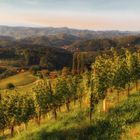 Die Südsteiermark im herbstlichen Licht